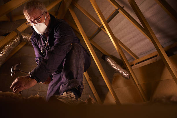 Best Commercial Insulation in Notre Dame, IN