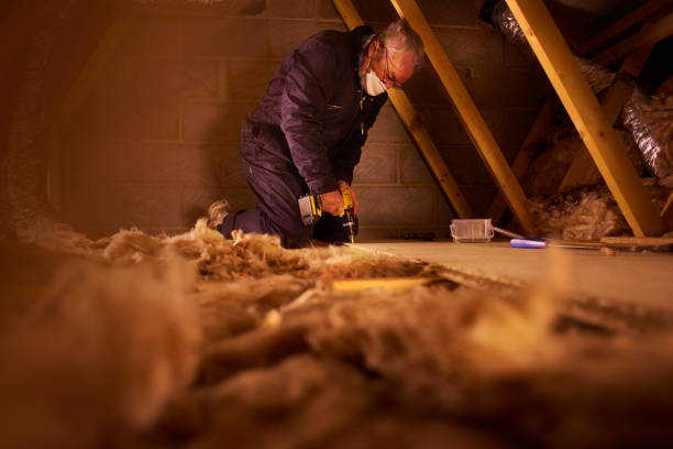 Best Insulation Installation Services in Notre Dame, IN